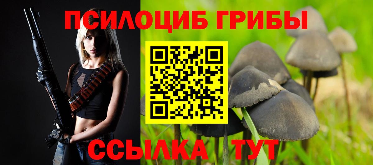 Галлюциногенные грибы Psilocybine cubensis  Вход с VPN  Галлюциногенные грибы Cubensis  Краснодар 
